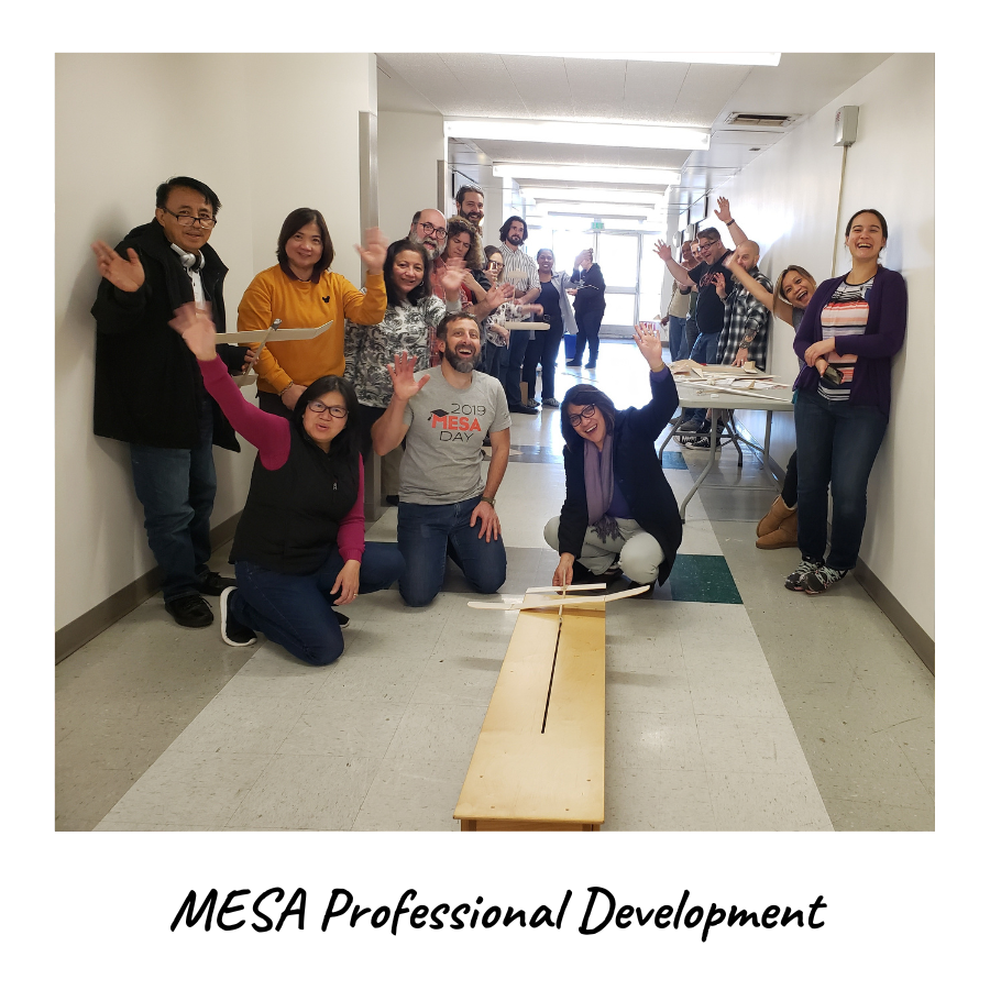 MESA Professional Development